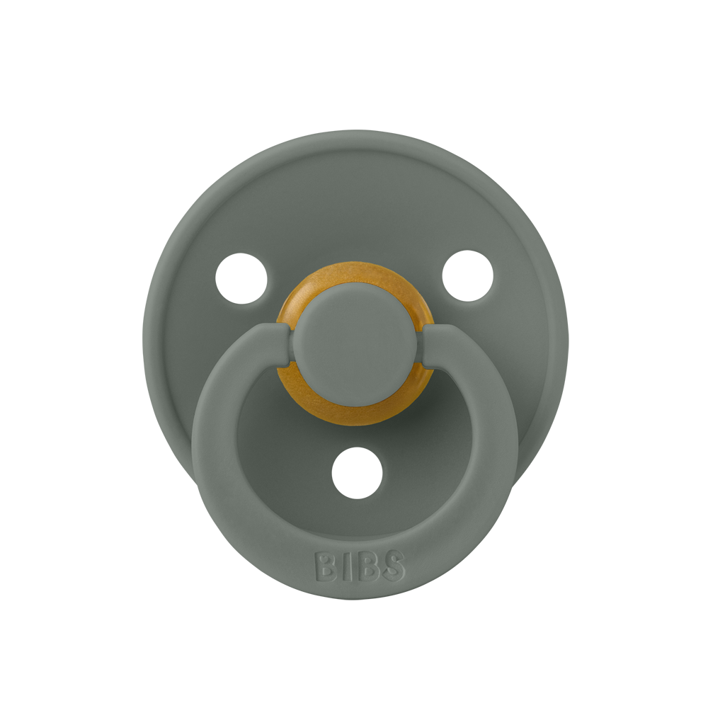 BIBS Colour Pacifiers / Dummies - Pine
