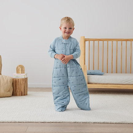 Sleep Suit Bag 3.5 TOG Dragonfly