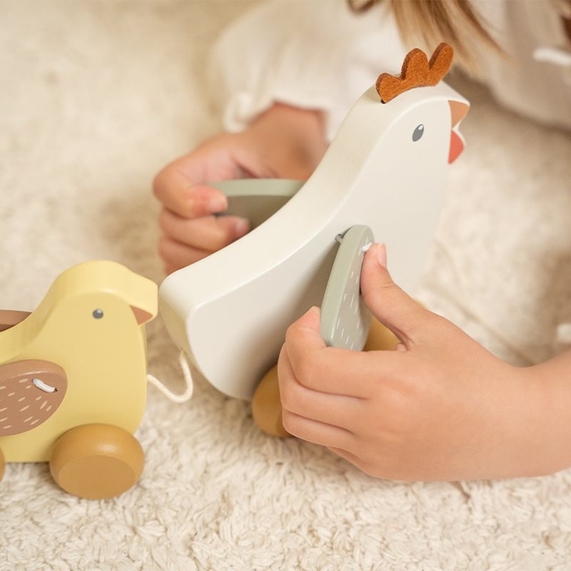 Little Dutch Pull Along Chickens