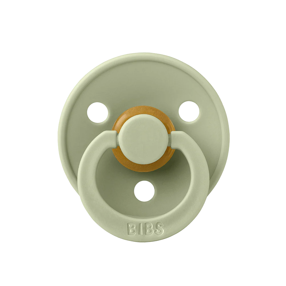 BIBS Colour Pacifiers / Dummies - Anotomical Sage