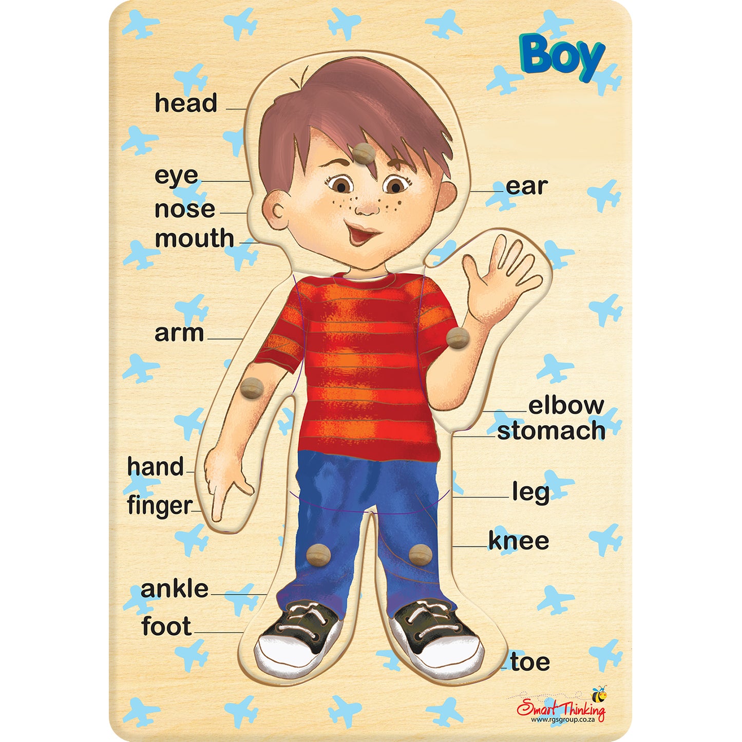 RGS My Body - Boy - Peg Puzzle 6pc
