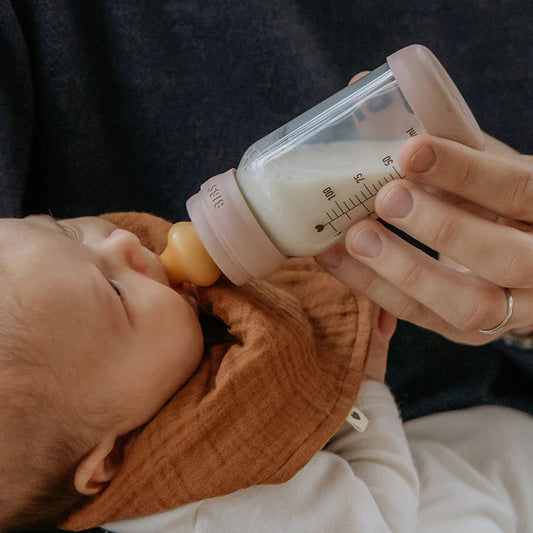 BIBS Bottle Nipples | 2 Pack | Slow Flow