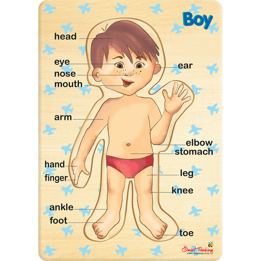 RGS My Body - Boy - Peg Puzzle 6pc