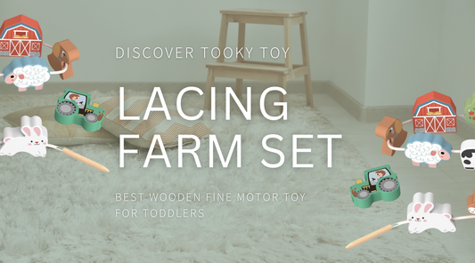 Tooky Toy Lacing Farm set