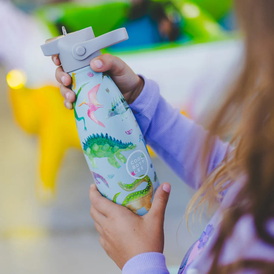 Cool Bottles: Dino's Planet 260ml