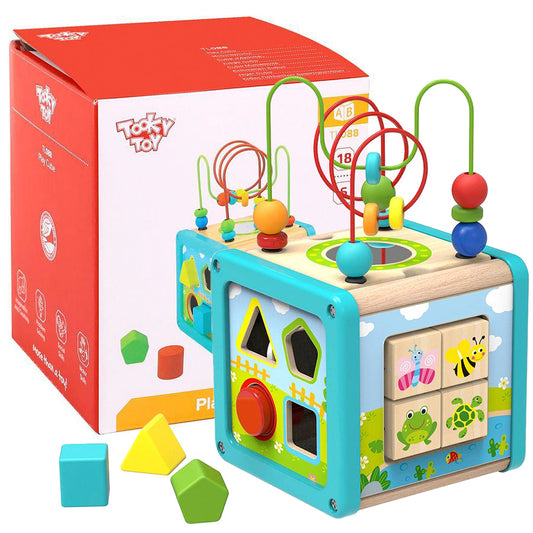 Tooky Toy Wooden Activity Cube