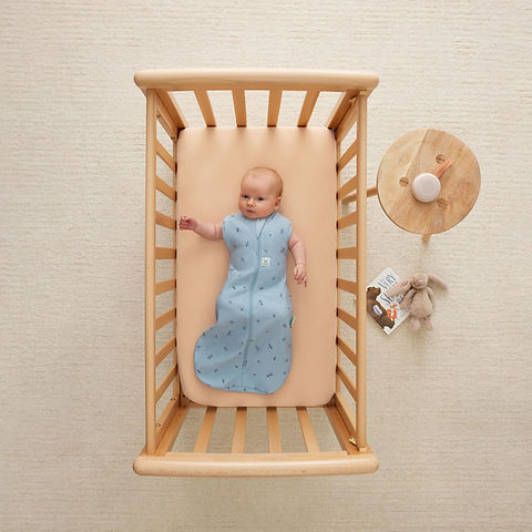 ErgoPouch Cocoon Swaddle Bag 1.0 Tog Dragonflies