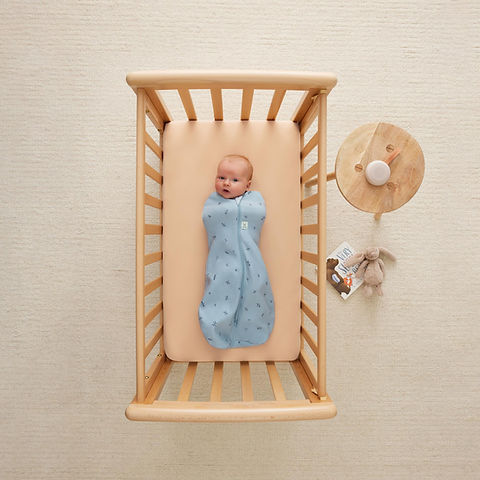 ErgoPouch Cocoon Swaddle Bag 1.0 Tog Dragonflies