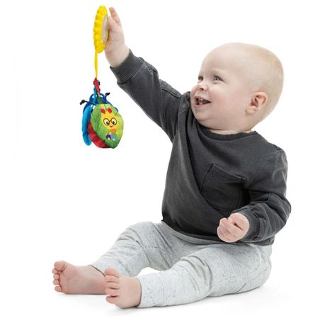 Baby Einstein Touch of Nature Sensory Toy with ladybird, teether & rattle