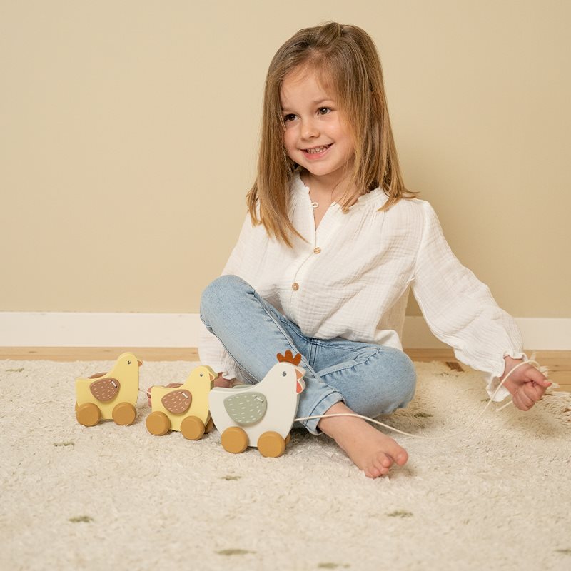 Little Dutch Pull Along Chickens