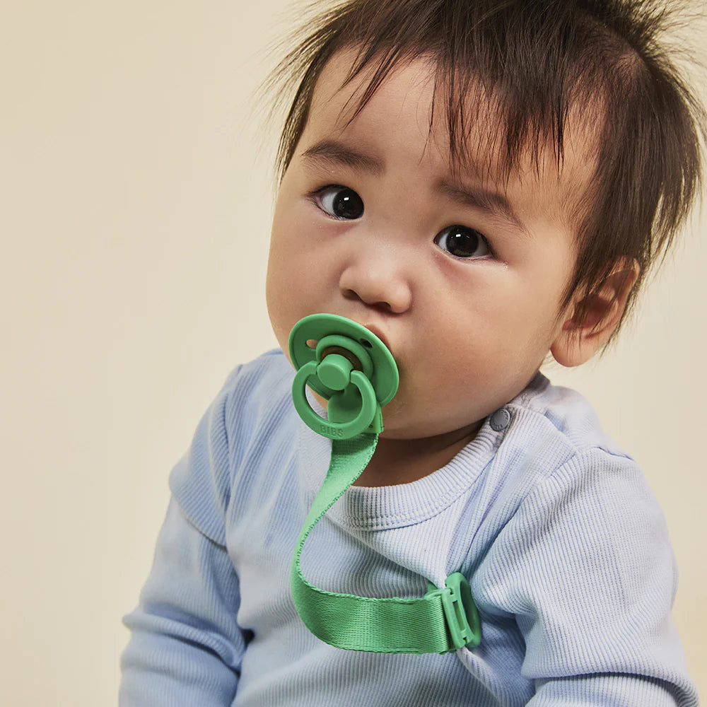 BIBS Colour Pacifiers / Dummies - Cactus