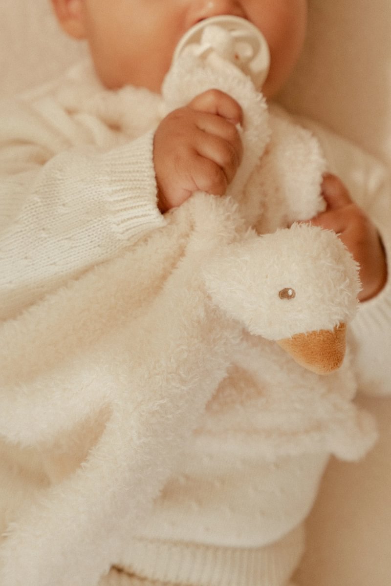 Little Dutch Cuddle Cloth Goose GRS