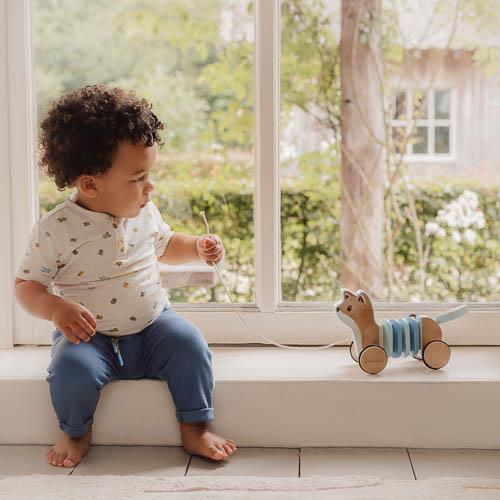 Little Dutch Pull-Along Fox Forest Friends