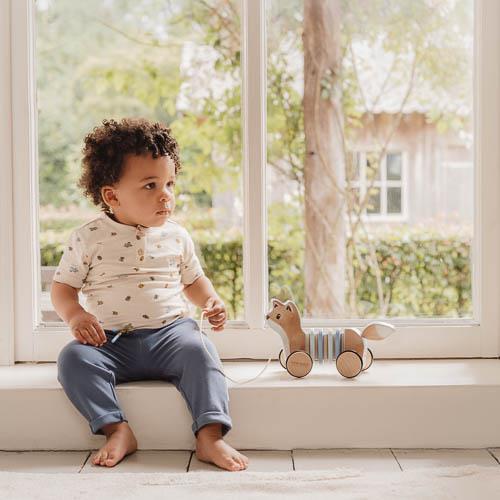 Little Dutch Pull-Along Fox Forest Friends