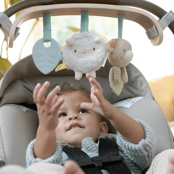 Ingenuity Wonder & Wood Carrier Toy Bar