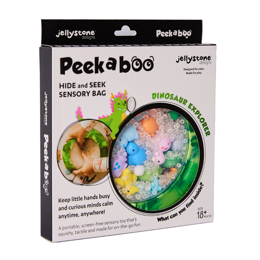 Jellystone Designs - Peekaboo Sensory Bag (Dinosaurs)