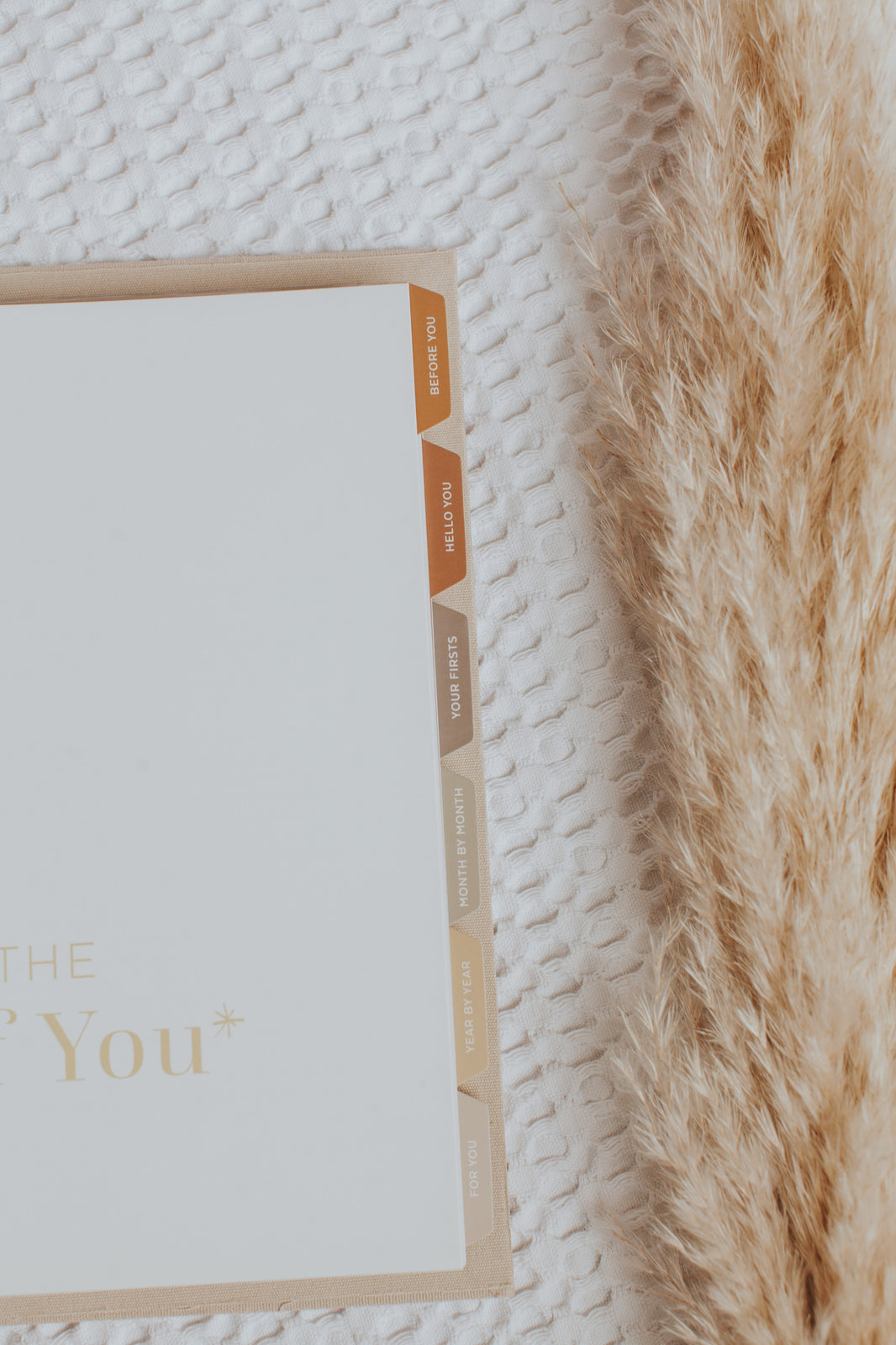 Stellarize The story of you Baby Book (Stone)