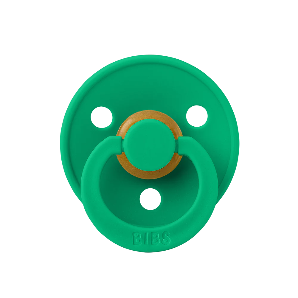 BIBS Colour Pacifiers / Dummies - Cactus