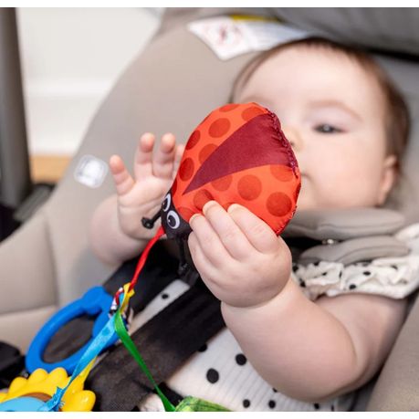 Baby Einstein Touch of Nature Sensory Toy with ladybird, teether & rattle