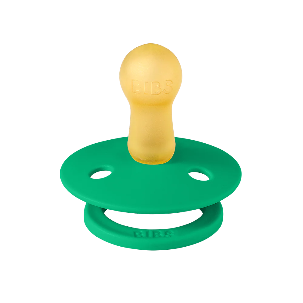 BIBS Colour Pacifiers / Dummies - Cactus