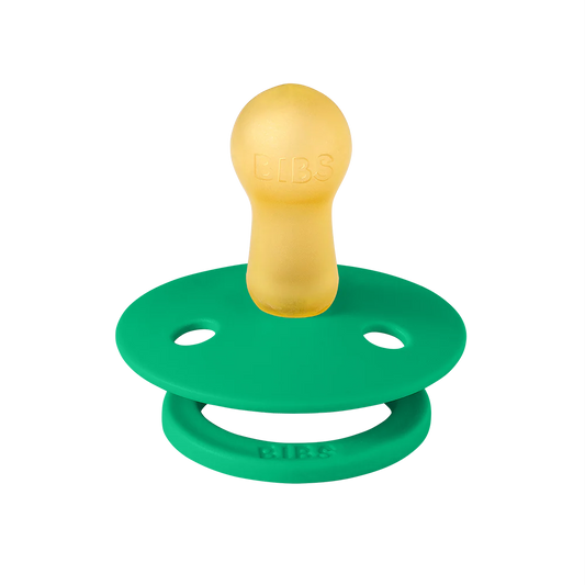 BIBS Colour Pacifiers / Dummies - Cactus