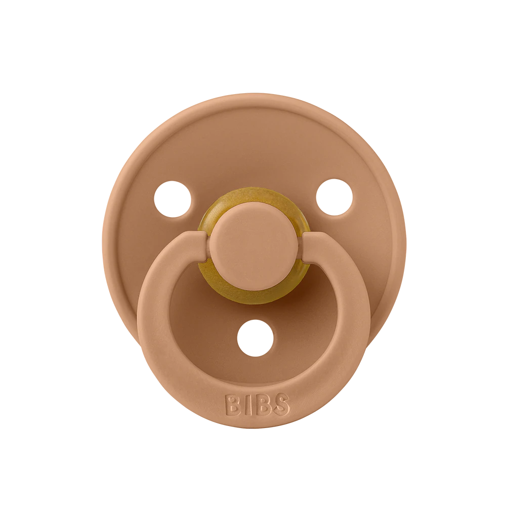 BIBS Colour Pacifiers / Dummies - Earth