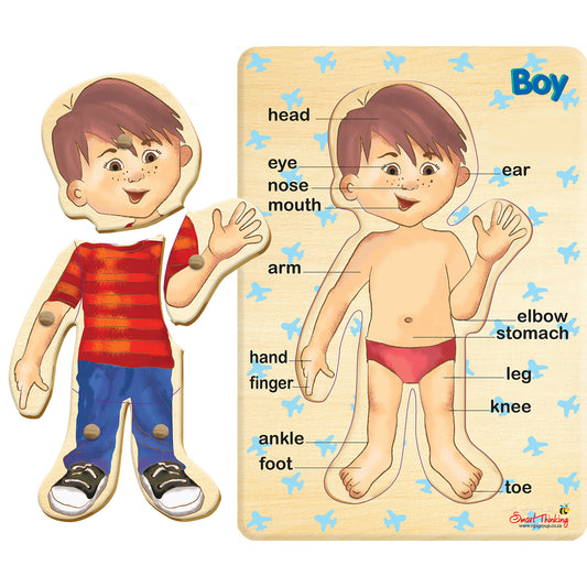 RGS My Body - Boy - Peg Puzzle 6pc